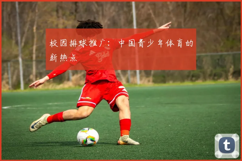 校园排球推广:中国青少年体育的新热点